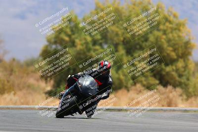 media/May-15-2022-SoCal Trackdays (Sun) [[33a09aef31]]/Turn 7 (1145am)/